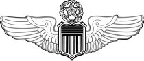 Master Pilot badge